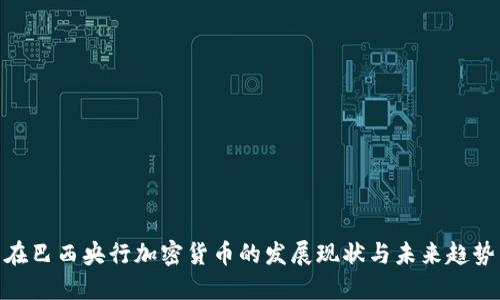 在巴西央行加密货币的发展现状与未来趋势