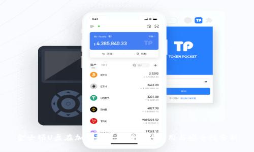 金士顿U盘在加密货币存储中的应用与安全性分析