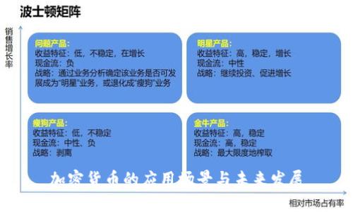 加密货币的应用场景与未来发展