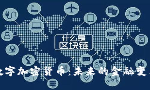 阿联酋数字加密货币：未来的金融变革与机遇