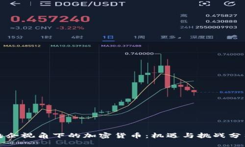 央企视角下的加密货币：机遇与挑战分析