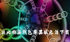 如何解决比特派钱包苹果