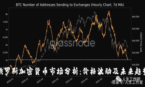 俄罗斯加密货币市场分析：价格波动及未来趋势