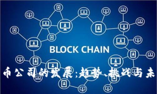 加密货币公司的发展：趋势、挑战与未来机遇