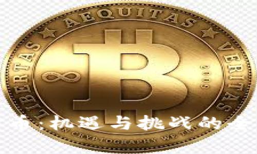 加密货币：机遇与挑战的全面解析