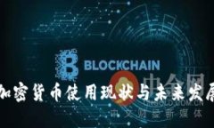 美国加密货币使用现状与未来发展趋势