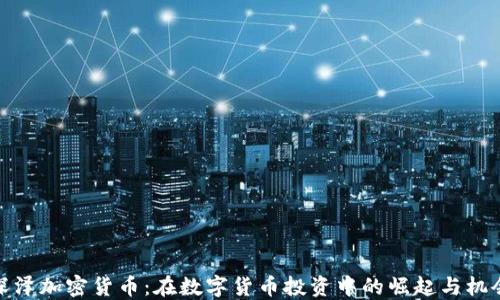
深泽加密货币：在数字货币投资中的崛起与机会