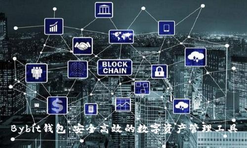 Bybit钱包：安全高效的数字资产管理工具