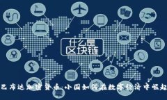 巴布达加密货币：小国如