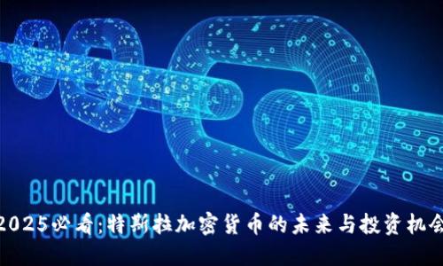 2025必看：特斯拉加密货币的未来与投资机会