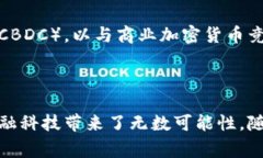 货币加密资金，即加密货币资金，是指通过去中