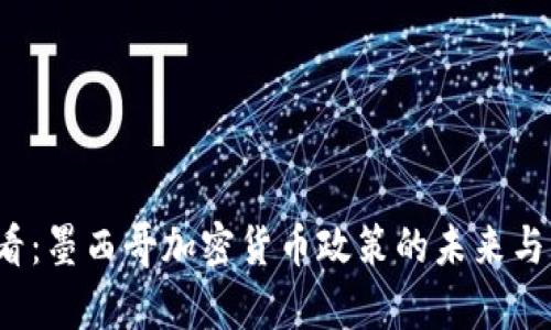 2025必看：墨西哥加密货币政策的未来与影响分析