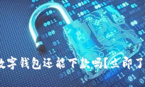 2025必看：数字钱包还能下款吗？立即了解最新招数！