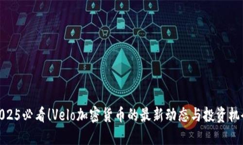 2025必看！Velo加密货币的最新动态与投资机会