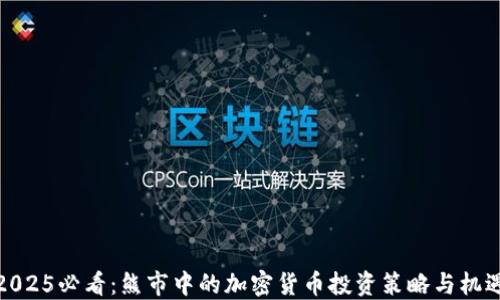 
2025必看：熊市中的加密货币投资策略与机遇