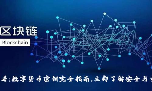 2025必看：数字货币密钥完全指南，立即了解安全与交易技巧