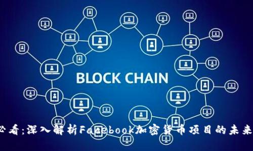 2025必看：深入解析Facebook加密货币项目的未来与挑战