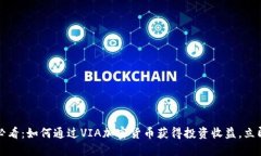 2025必看：如何通过VIA加密