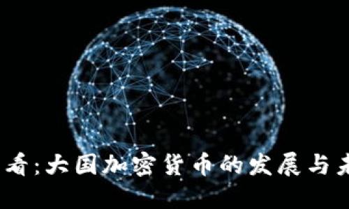 2025必看：大国加密货币的发展与未来趋势