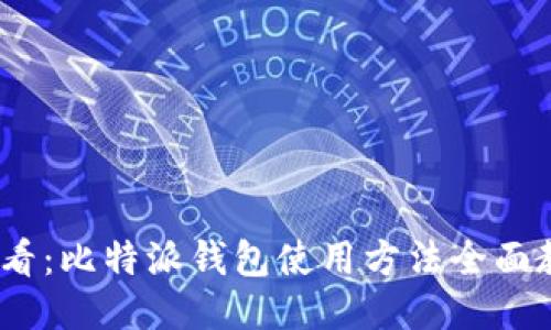 2025必看：比特派钱包使用方法全面教程视频