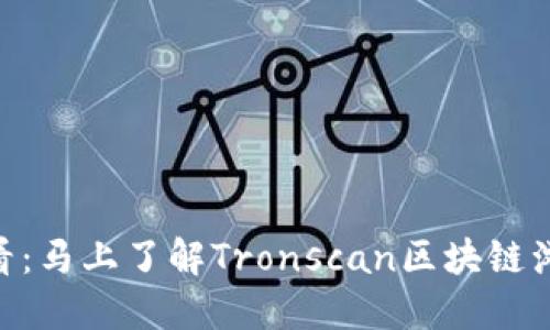 hibaoti2025必看：马上了解Tronscan区块链浏览器的强大功能