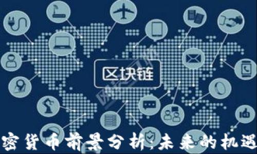 
虚拟加密货币前景分析：未来的机遇与挑战