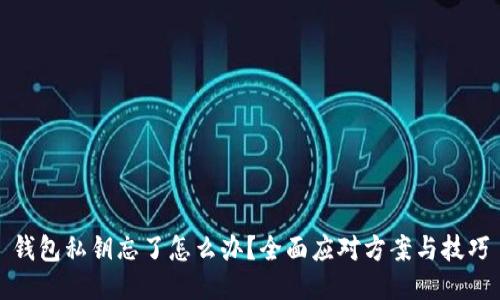 钱包私钥忘了怎么办？全面应对方案与技巧