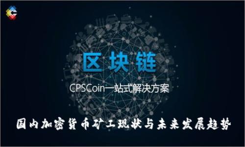 国内加密货币矿工现状与未来发展趋势