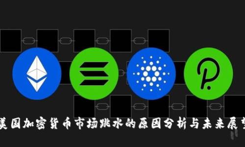 美国加密货币市场跳水的原因分析与未来展望