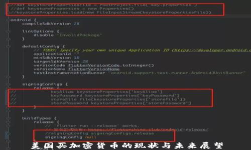 
美国买加密货币的现状与未来展望