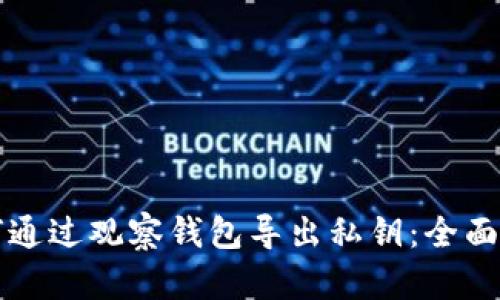 如何通过观察钱包导出私钥：全面指南