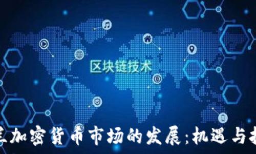   
荷兰加密货币市场的发展：机遇与挑战