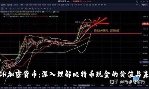 BCH加密货币：深入理解比特币现金的价值与未来